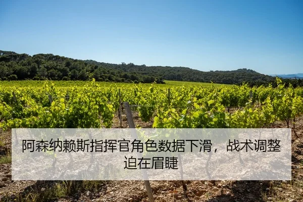 a-sen-na-lai-si-zhi-hui-guan-jue-se-shu-ju-xia-hua-zhan-shu-tiao-zheng-po-zai-mei-jie-2-232.jpg