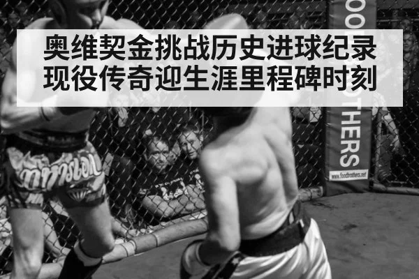 奥维契金挑战历史进球纪录 现役传奇迎生涯里程碑时刻